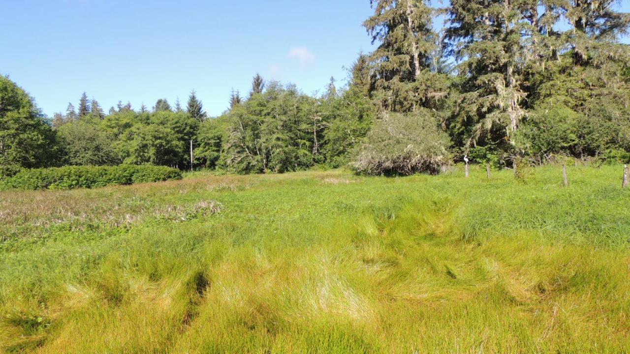 Remote Renfrew Riverside Retreat Hotel Port Renfrew Esterno foto