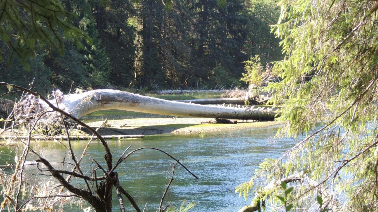 Remote Renfrew Riverside Retreat Hotel Port Renfrew Esterno foto