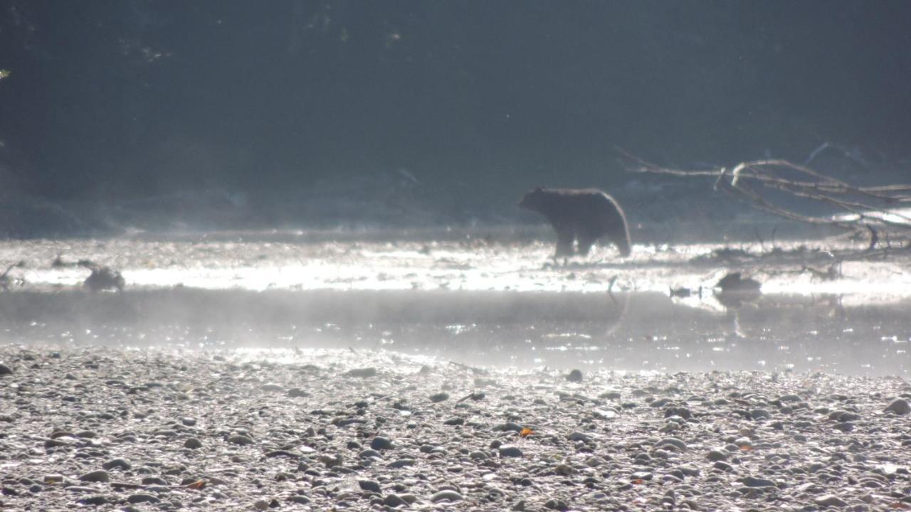 Remote Renfrew Riverside Retreat Hotel Port Renfrew Esterno foto