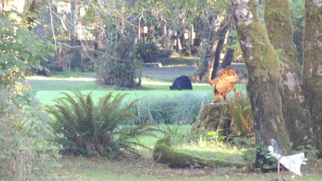 Remote Renfrew Riverside Retreat Hotel Port Renfrew Esterno foto