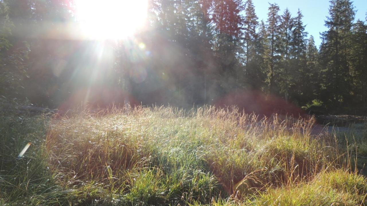 Remote Renfrew Riverside Retreat Hotel Port Renfrew Esterno foto