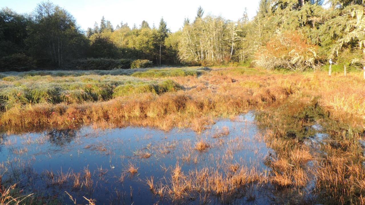 Remote Renfrew Riverside Retreat Hotel Port Renfrew Esterno foto