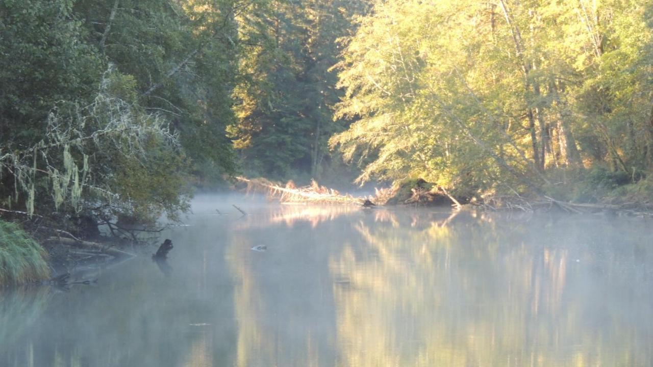 Remote Renfrew Riverside Retreat Hotel Port Renfrew Esterno foto