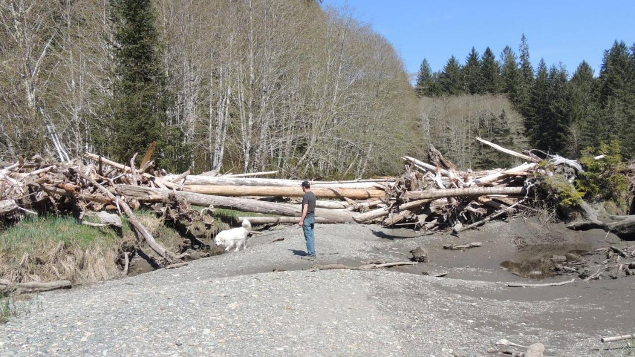 Remote Renfrew Riverside Retreat Hotel Port Renfrew Esterno foto