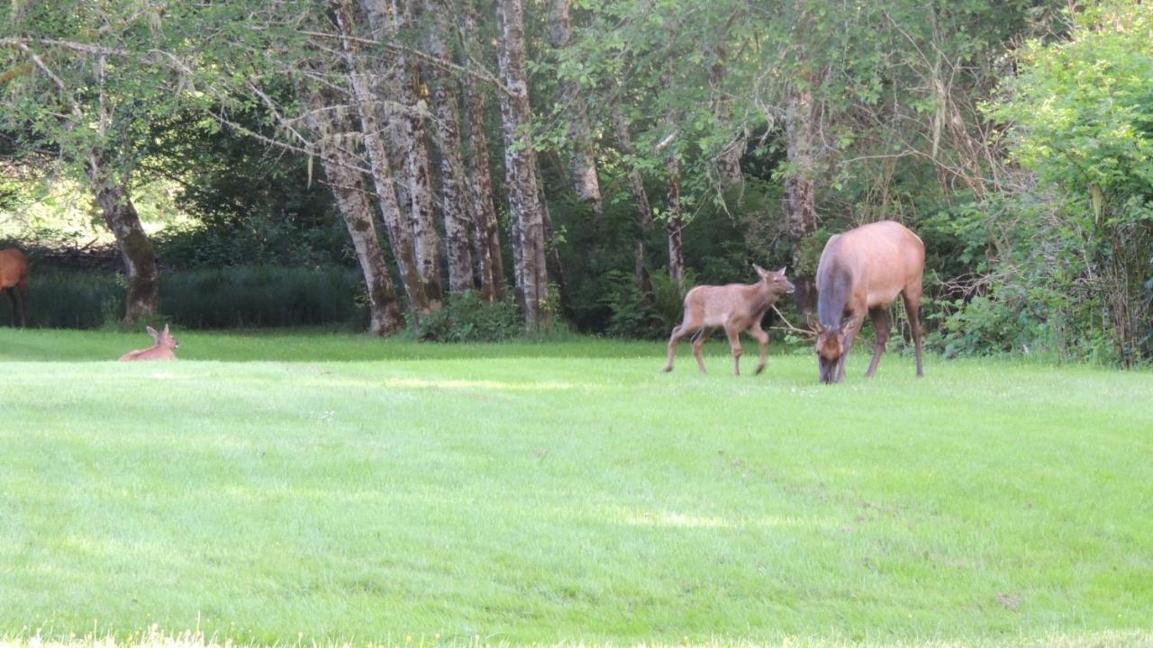 Remote Renfrew Riverside Retreat Hotel Port Renfrew Esterno foto