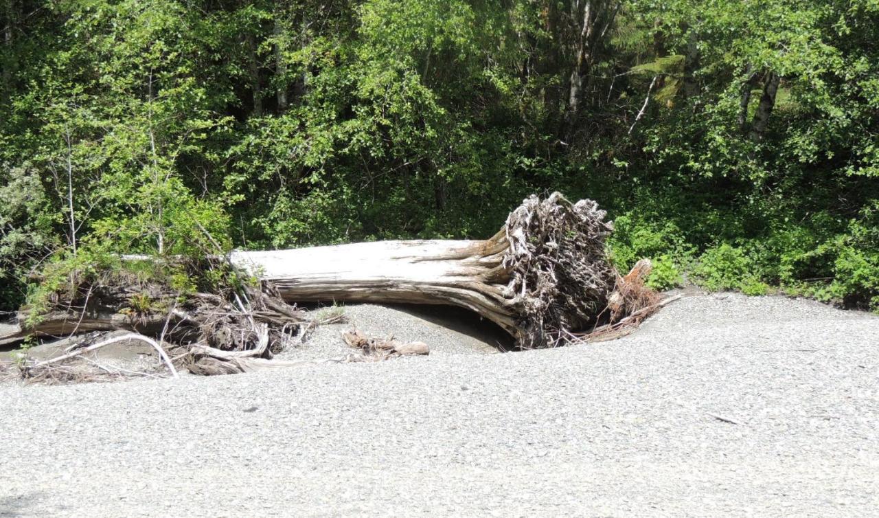 Remote Renfrew Riverside Retreat Hotel Port Renfrew Esterno foto